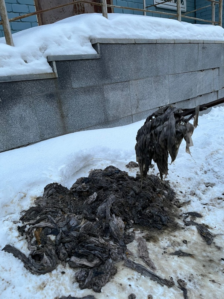 3c55d150-81b6-41eb-8230-feed9423efaf.JPG
